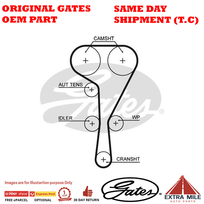 Timing Belt T1565 for RENAULT Megane CC PHASE II EM0W/EM1T
