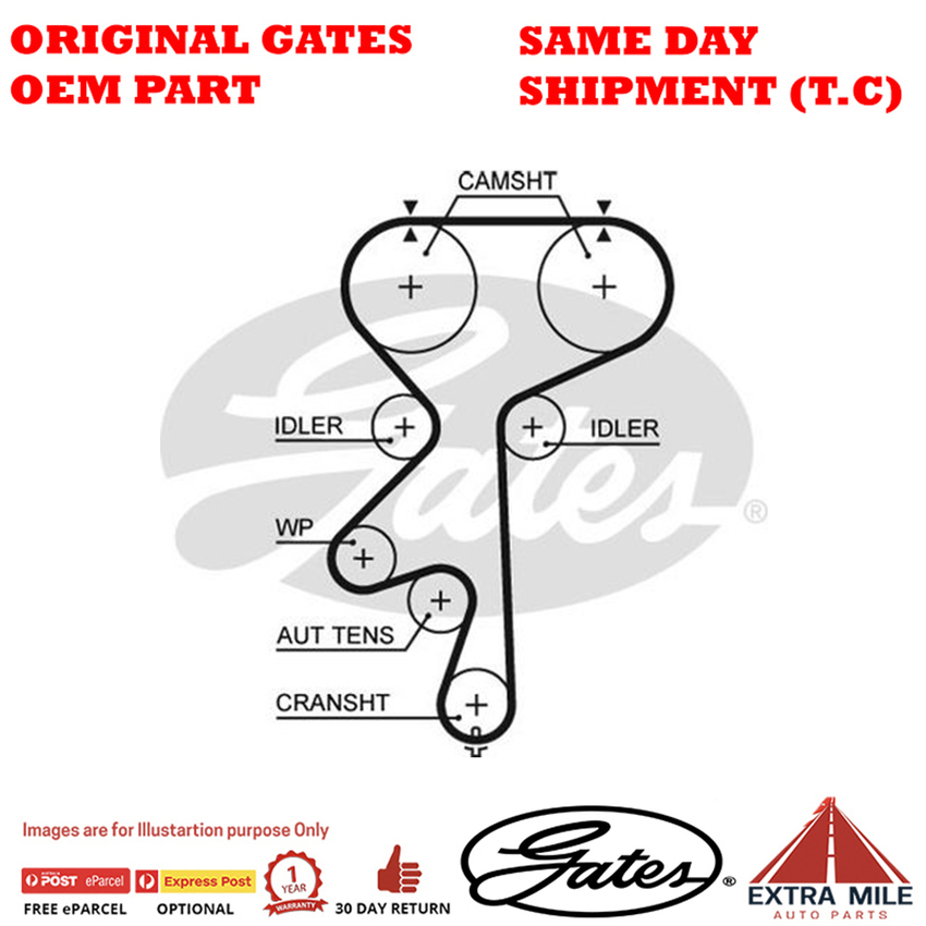Timing Belt T1566 for HSV VXR AH