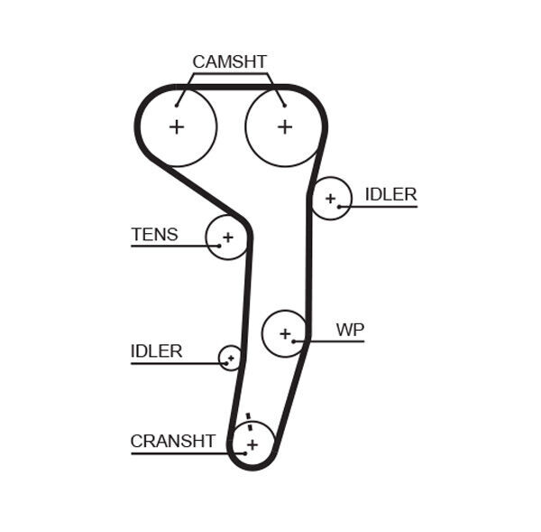 Timing Belt T1604 for VOLKSWAGEN Golf V 1K1
