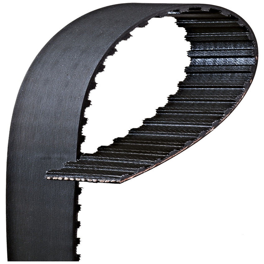 Timing Belt T239 for HOLDEN Nova LF