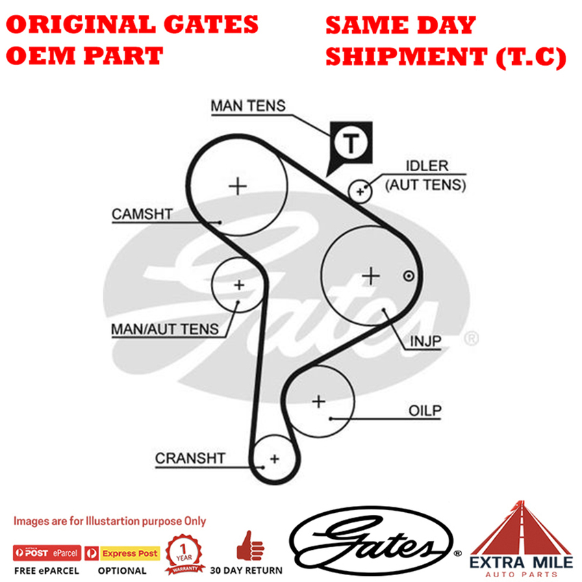 Timing Belt T242 for AUDI 80 B4 8C5