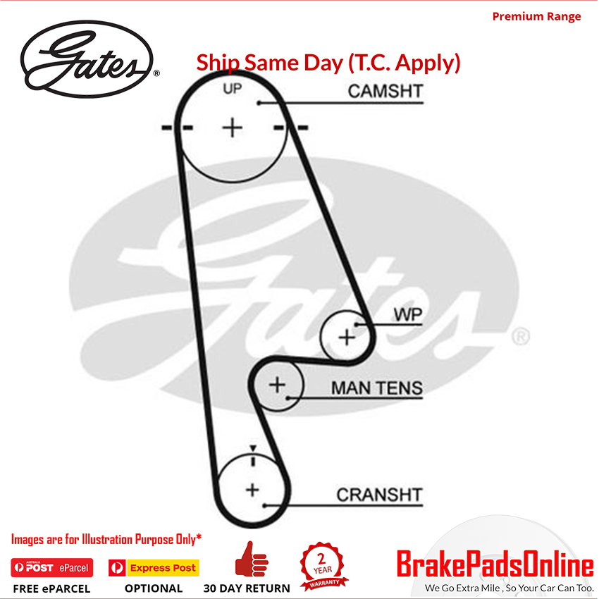 Timing Belt T244 for HONDA Accord MK VI CG9