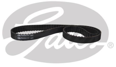 Gates Timing Belt For Ford Australia Focus 1.5L/1.6L LZ LW Petrol Engine-T343