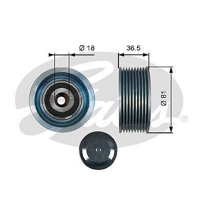 Gates v-ribbed belt , Deflection/Guide Pulley - T36508