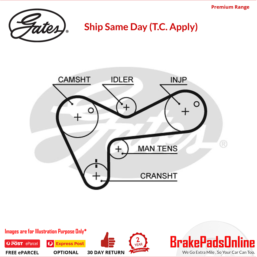 Timing Belt T966 for ISUZU MU UCS55
