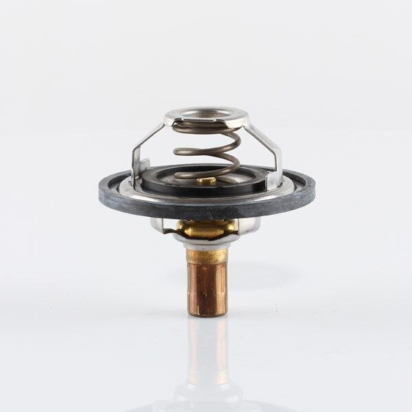 Tridon Thermostat - TT1309-176