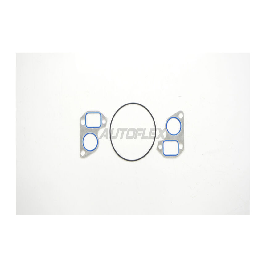 Water Pump Gasket For HOLDEN CALAIS VZ i V8 6.0L L76 OHV 16v Petrol