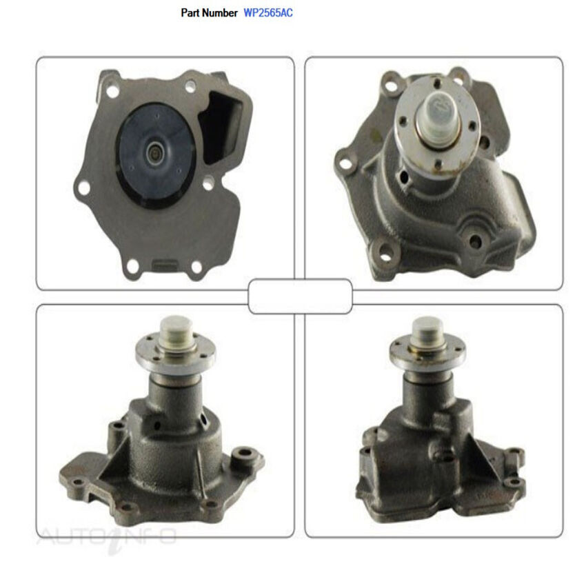 Alcius Engine Water Pump For Ford Transit SWB/LWB VE, VF, VG 2.5L 4GB/ 2.5DT