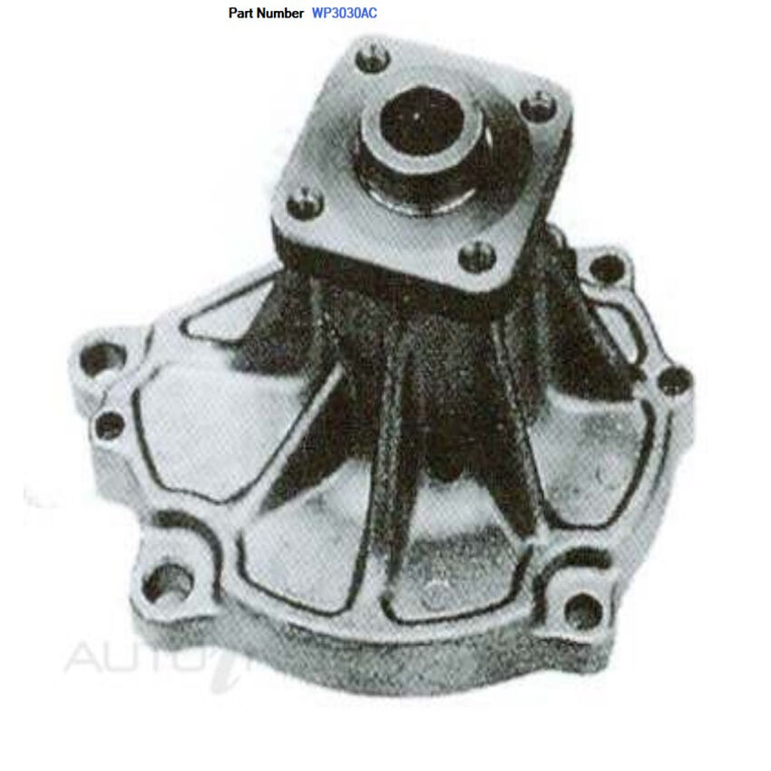 Alcius Engine Water Pump For Nissan Nomad C22 2.4L Z24 4D Wagon 1986-1992