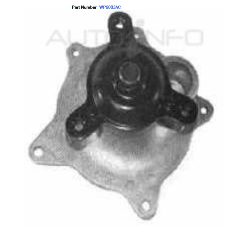 Alcius Water Pump For Chrysler Voyager RG GS V6 3.3L EGA 4D Wagon 1997-2008