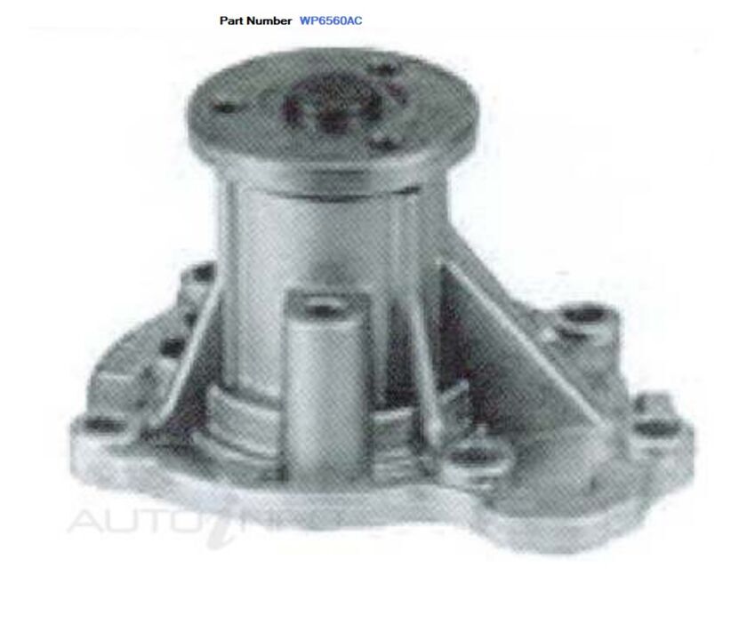 Alcius Engine Water Pump For Nissan Cube Cubic Z11 1.4L CR14DE 2002-2008