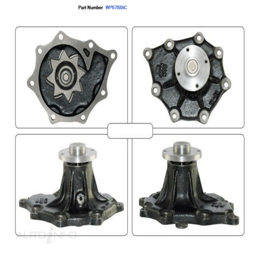 Alcius Engine Water Pump For Nissan Atlas H41 4.2L/4.6L FD42, FD46