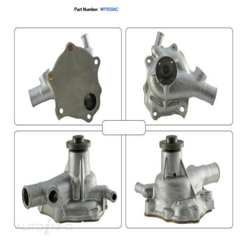 Alcius Engine Water Pump For Daihatsu Delta DV23 2.0L 5R 2D Truck 1971-1977