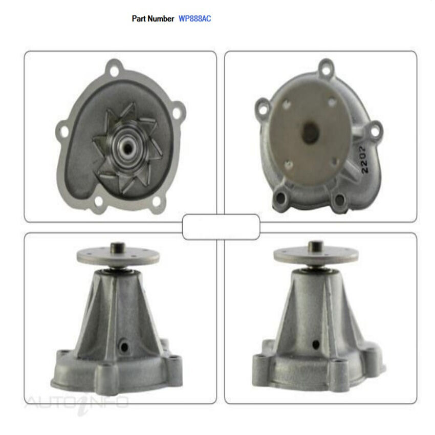 Alcius Engine Water Pump For Nissan Langley N12 N13 1.5L E15S 1982-1988