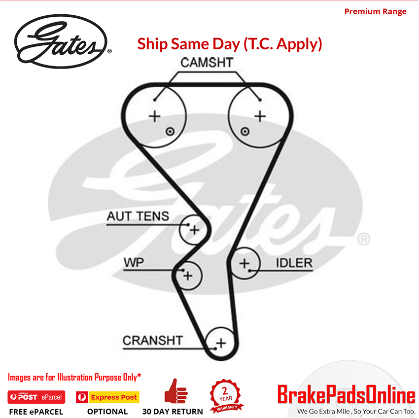 Timing Belt T1581 for CITROEN C4 NFU N6A