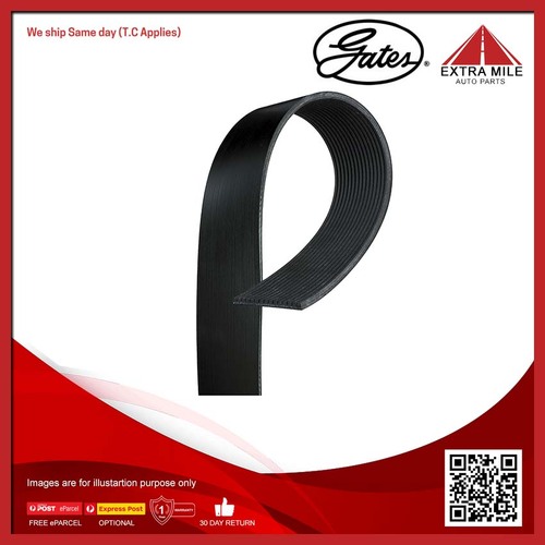 Gates V-ribbed Belt - 8542-20197 (15PK955HD)