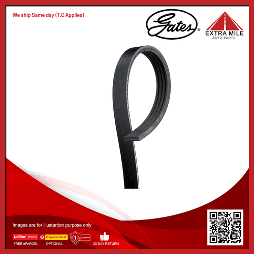 Gates V-Ribbed Belt For HSV Senator VE 6.0L/6.2L, VZ 6.0L, VX, VT, VY 5.7L V8
