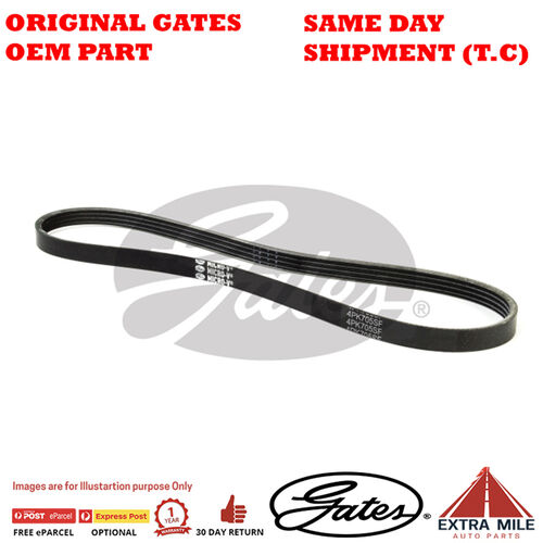 4PK705SF V-Ribbed Belt for FORD Australia Focus MGDA 2.0 Petrol