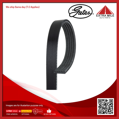 Gates V-Ribbed Belt For BMW 8 E31 850 i, Ci 5.0L M70 B50 (5012A) Coupe