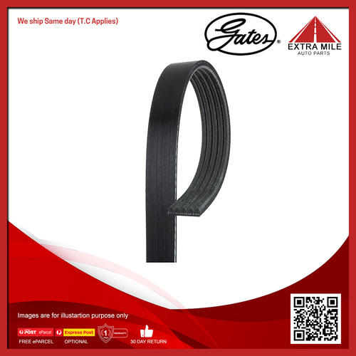 Gates Micro V-Ribbed Belt - 8552-2279 (5PK1600)