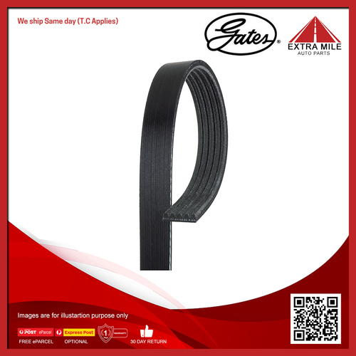 Gates V-Ribbed Belt For BMW 5 E39 520i, 530i, 523i,525i,528i 2.0L/3.0L/2.5L/2.8L