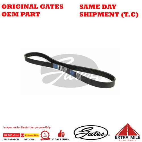 6PK1019SF Stretch Fit Micro-V Belt for FORD Fiesta MK VI WS HXJA/HXJB/HXJE 1.6L Ti-VCT Petrol 4Cyl FWD