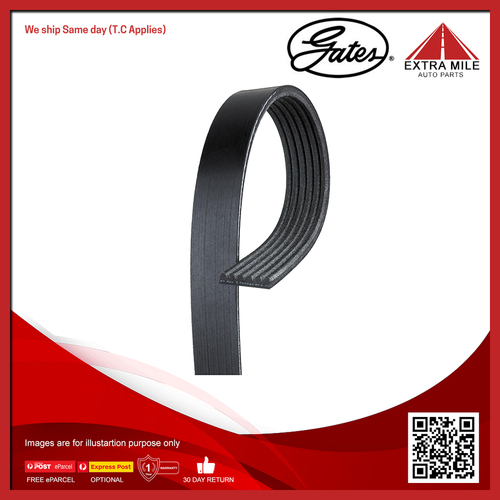 Gates V-Ribbed Belt For Audi A3 8P7, 8PA, 8P1 1.8L/2.0L TFSI BZB,CDAA,CAWB,CCZA