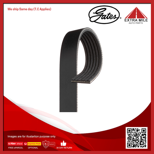 Gates V-Ribbed Belt For BMW Z3 E36 3.2L M 3.2 S50 B32 (326S1), S50 B32 (326S3)