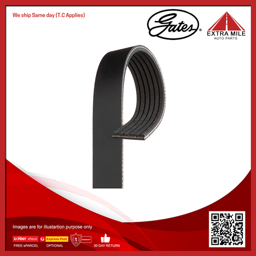 Gates V-Ribbed Belt For Ford Falcon FG X, FG, BF, 4.0L BARRA 156, 198, 245T,325T