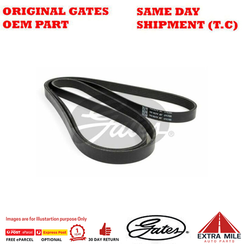 6PK2565 V-Ribbed AT Belt for FORD Australia Falcon FG BOSS290 5.4L VVT Petrol 8Cyl RWD