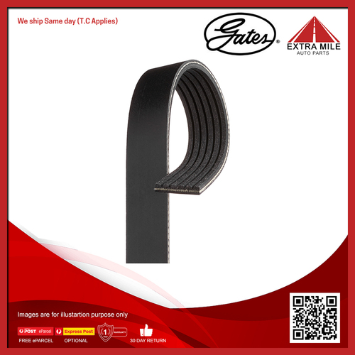 Gates V-Ribbed Belt For Fiat Ducato 244 2.8L Diesel TD 8140.43 Van