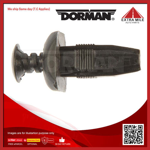 Dorman Rivet-Screw In-Hole Diameter .250 In. - 700-585