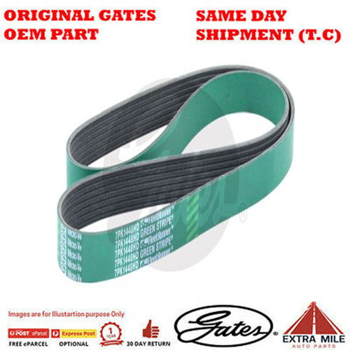 Gates V-Ribbed Belt - 7PK1448HD