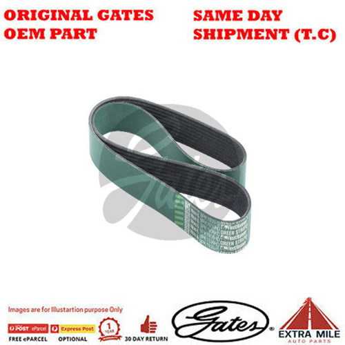 Gates V-Ribbed Belt - 8548-00943