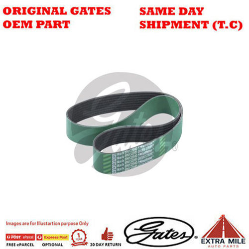 Gates V-Ribbed Belt - 8548-01603