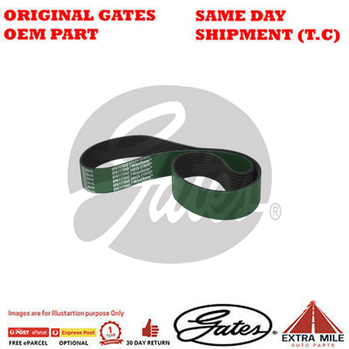 Gates V-Ribbed Belt For ISUZU F FSR/FTR/FVZ  - 8548-01613