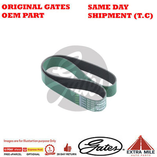 Gates V-Ribbed Belt For ISUZU FX