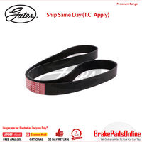 8PK1635 / K080644 MV AT V-Ribbed AT Belts 8552-0534