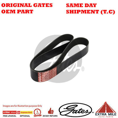 Gates V-Ribbed Belt - 8552-2073