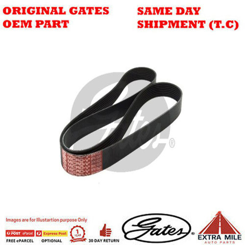 Gates V-Ribbed Belt - 8552-2356