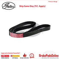 8PK2415 / K080950 MV AT V-Ribbed AT Belts 8552-2745
