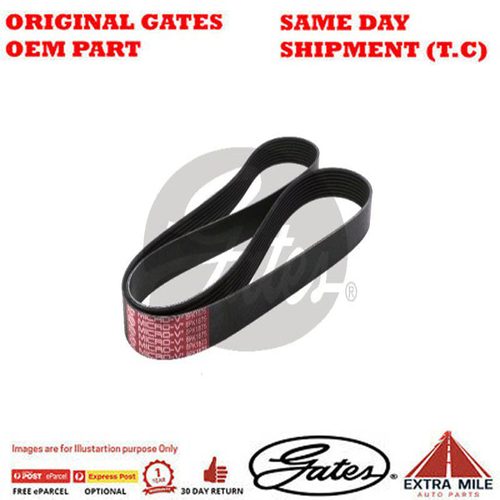 Gates V-Ribbed Belt - 8552-3043
