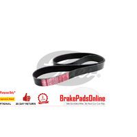 8PK1165 / K080458 MV AT V-Ribbed AT Belts 8552-3128
