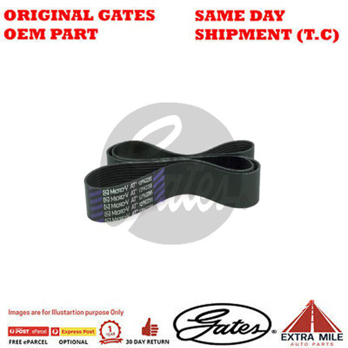 Gates V-Ribbed Belt - 8552-3203