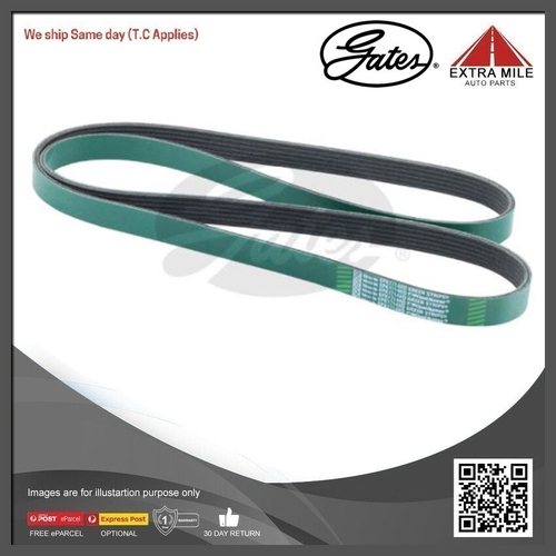 Gates V-Ribbed Belt - 8555-0044