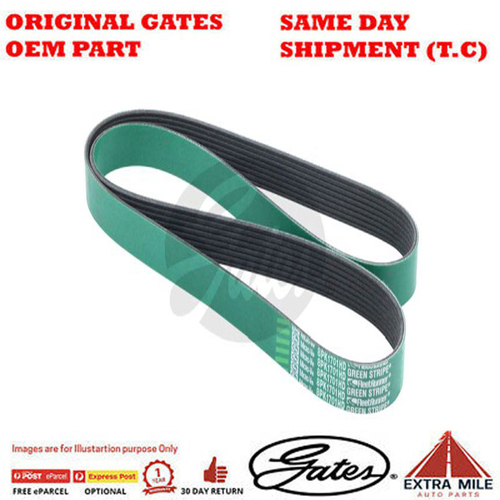 Gates V-Ribbed Belt - 8555-0073