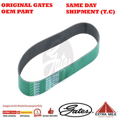 Gates V-Ribbed Belt - 8555-01025