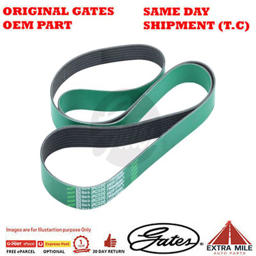 Gates V-Ribbed Belt - 8555-0120