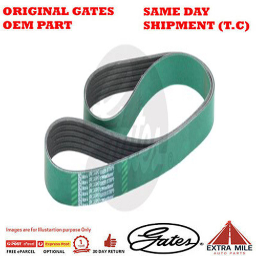 Gates V-Ribbed Belt - 8555-0156