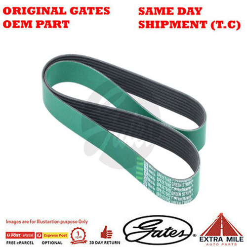 Gates V-Ribbed Belt - 8555-0224